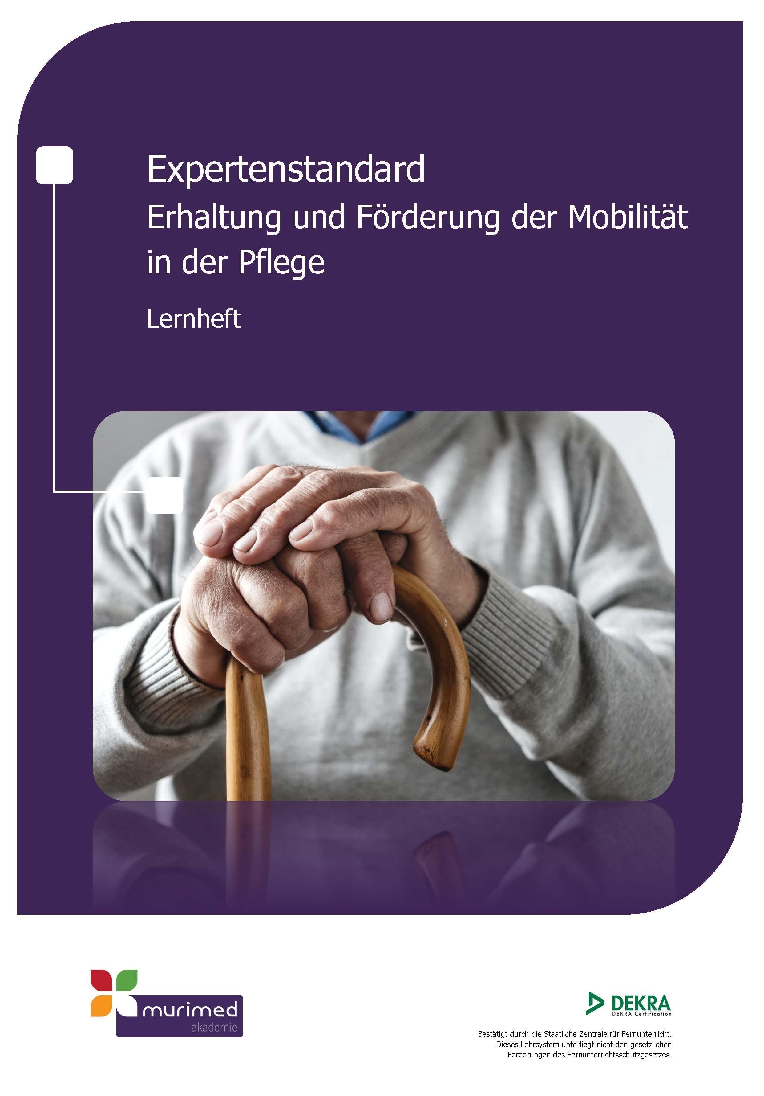 E-Learning ES 08 - Expertenstandard Erhaltung und F&ouml;rderung der Mobilit&auml;t in der Pflege