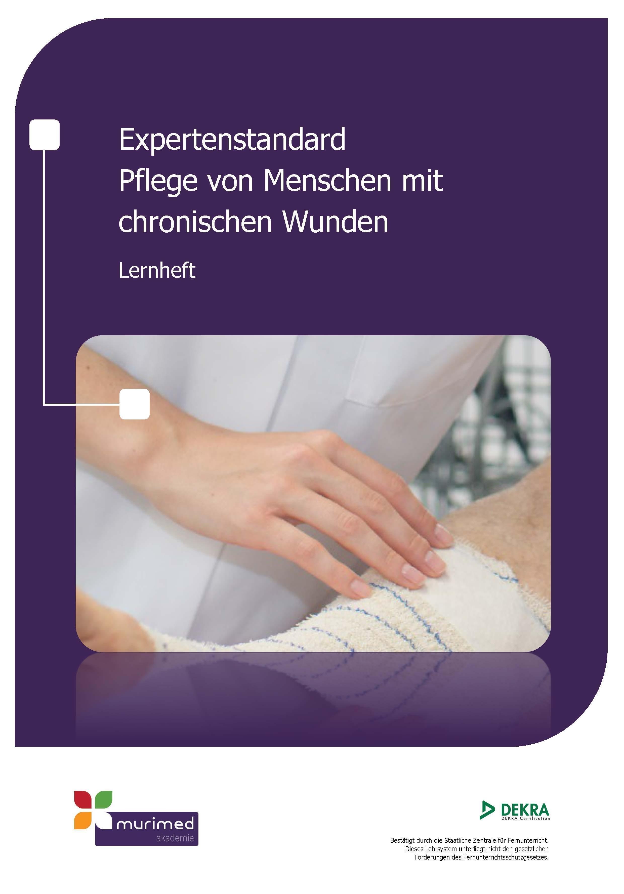 ES 06 - Expertenstandard Pflege von Menschen mit chronischen Wunden