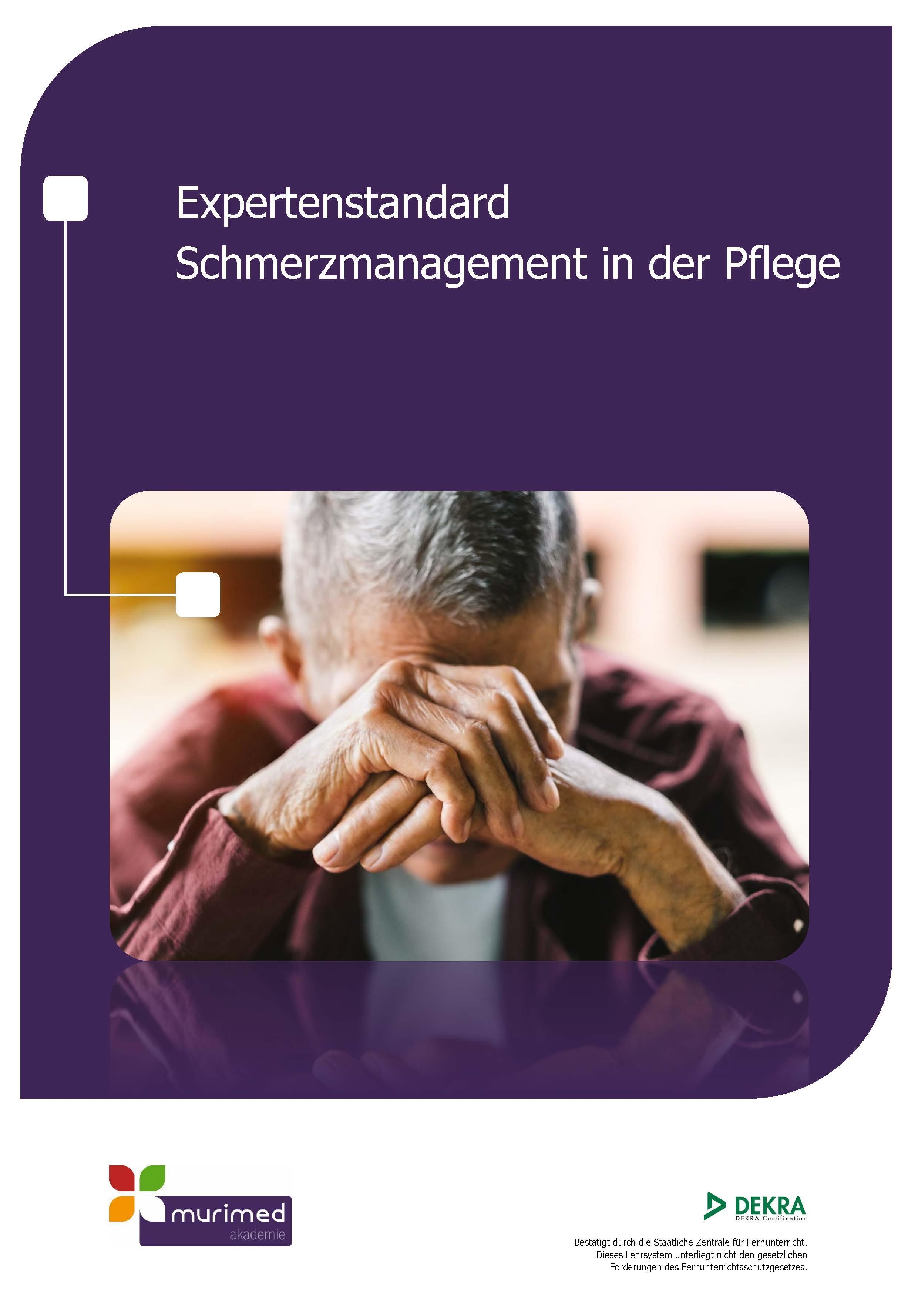 &Uuml;berarbeitet ES 11 - Expertenstandard Schmerzmanagement in der Pflege